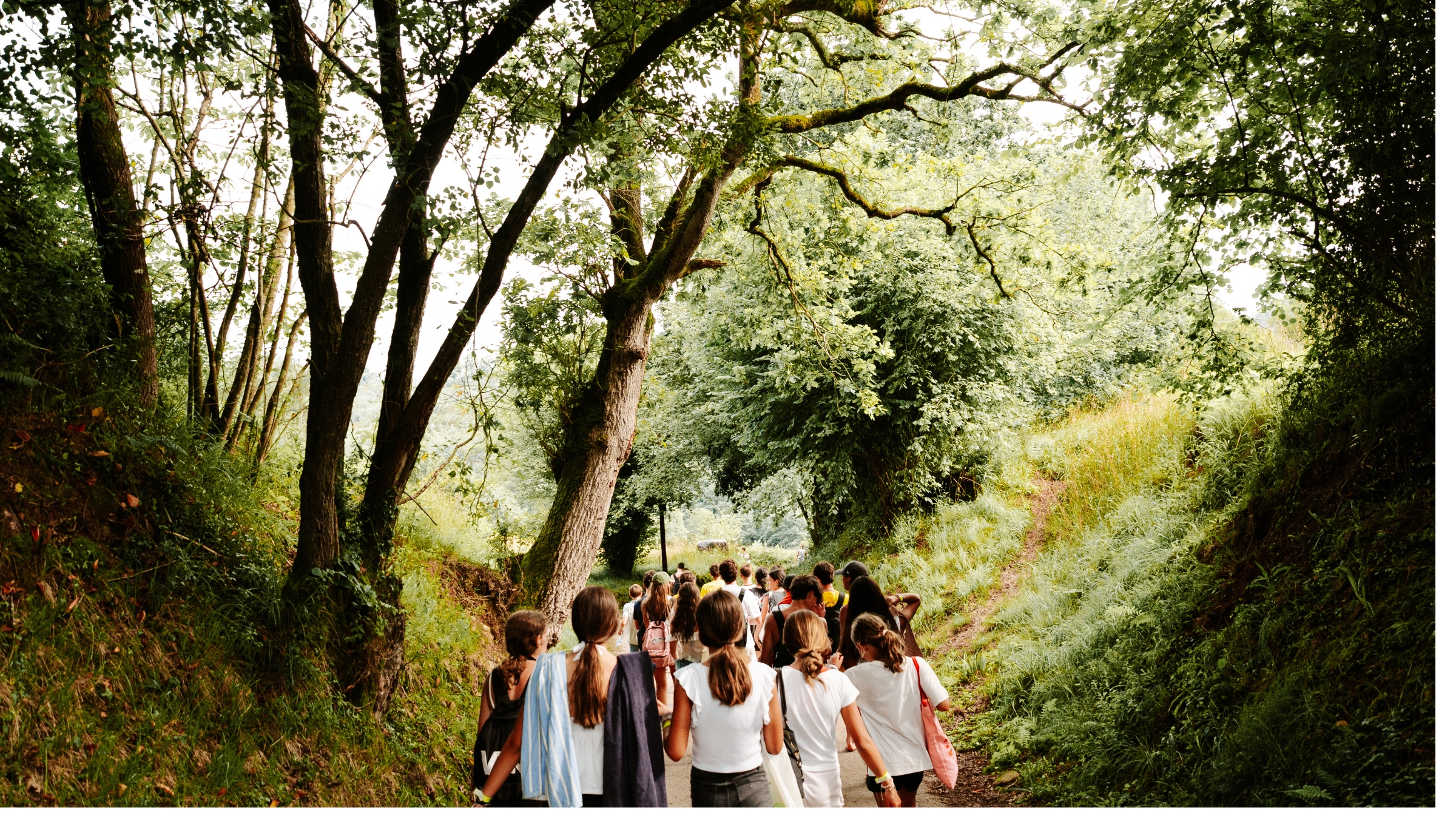 Actividades en la